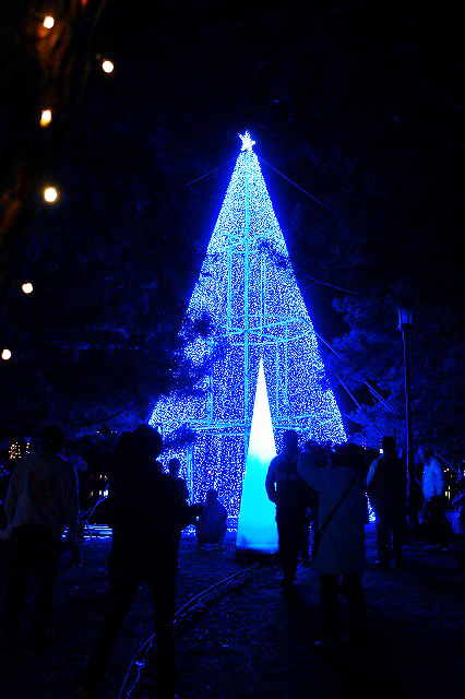 福岡の照明デザイン事務所ライトニックのイルミネーション　Shining park OHORI 2010